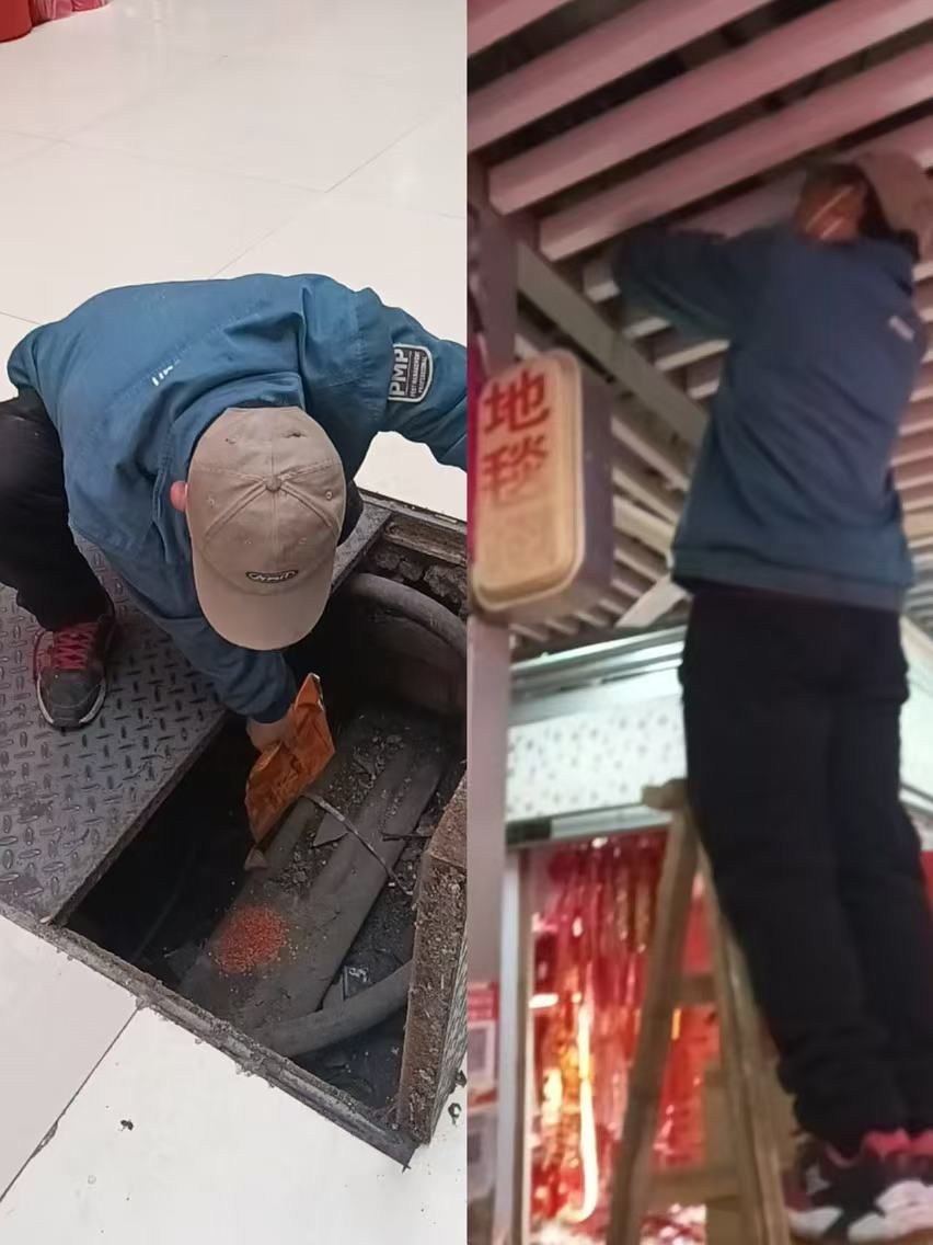 春季打响健康保卫战‌钱江商城除四害在行动